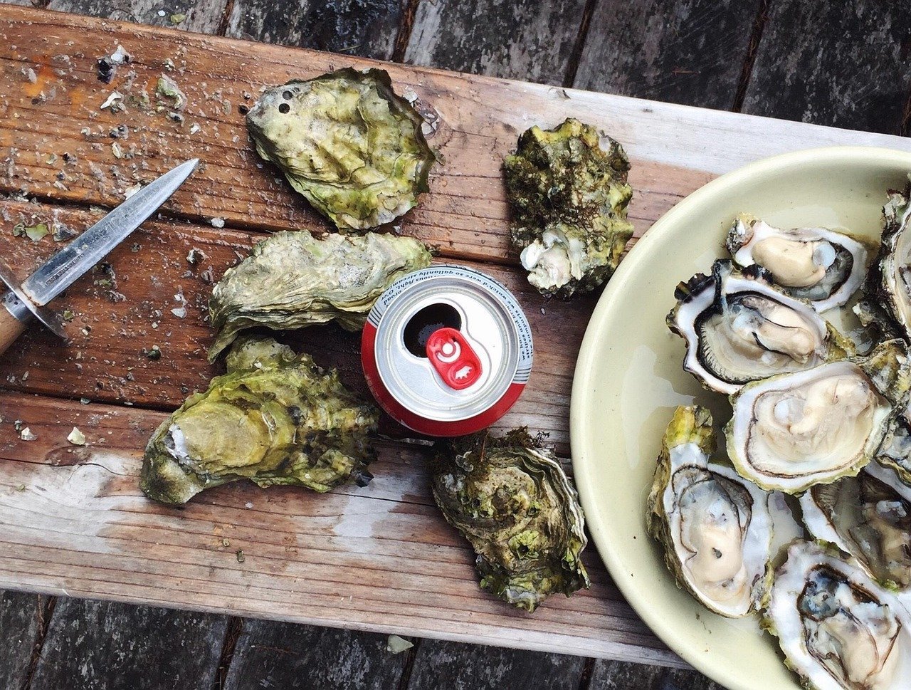 The Ultimate Guide to Choosing the Best Oyster Knife