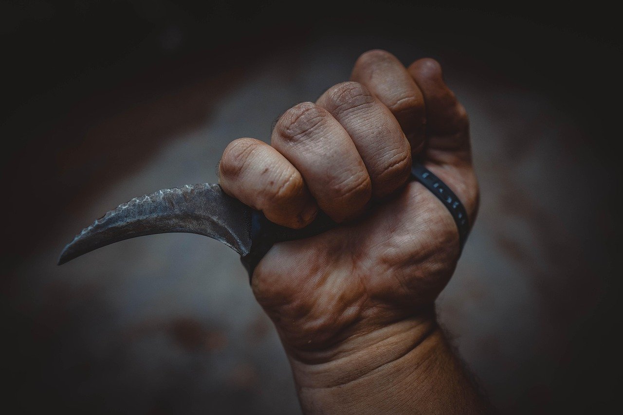 Understanding Different Types of Knives and Their Uses Understanding Different Types of Knives and Their Uses