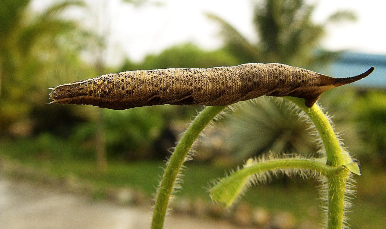 How Often Should You Use a Honing Steel on Your Knives? How Often Should You Use a Honing Steel on Your Knives?