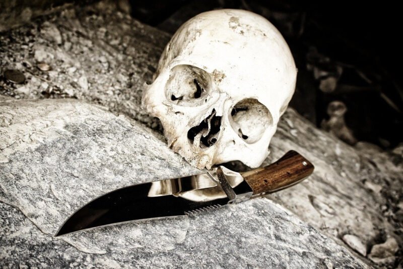 The Benefits of Using a Boning Knife in Meal Preparation