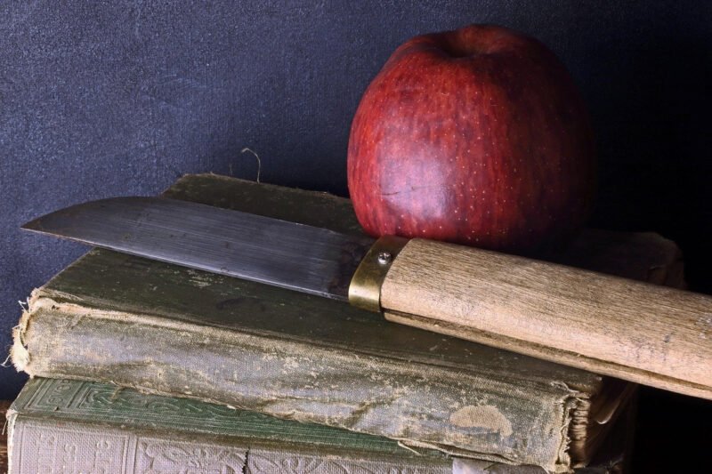 Top 10 Paring Knives for Precision Cutting in Your Kitchen